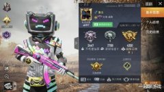 “吃鸡”极品ID的王牌玩家也有烦恼？陌生人发消息：5毛我要了！ 