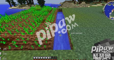 我的世界甘蔗怎么种 甘蔗种植攻略介绍