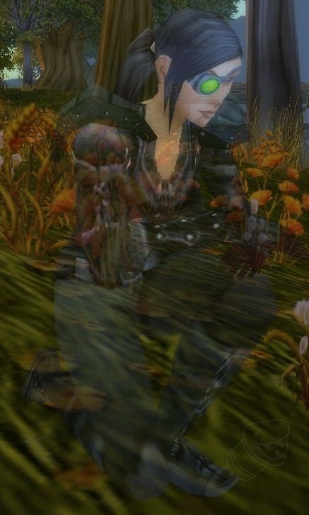 怀旧服盗贼必做的职业任务：毒药与菊花茶