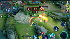 梦泪高胜率韩信潇洒带妹，连胜上分直呼过瘾！ 