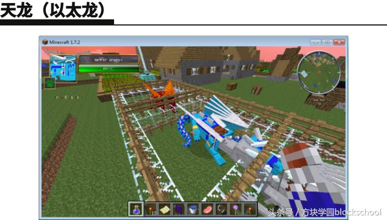 我的世界八大龙蛋孵化方法，从此拥有末影龙不再是梦！