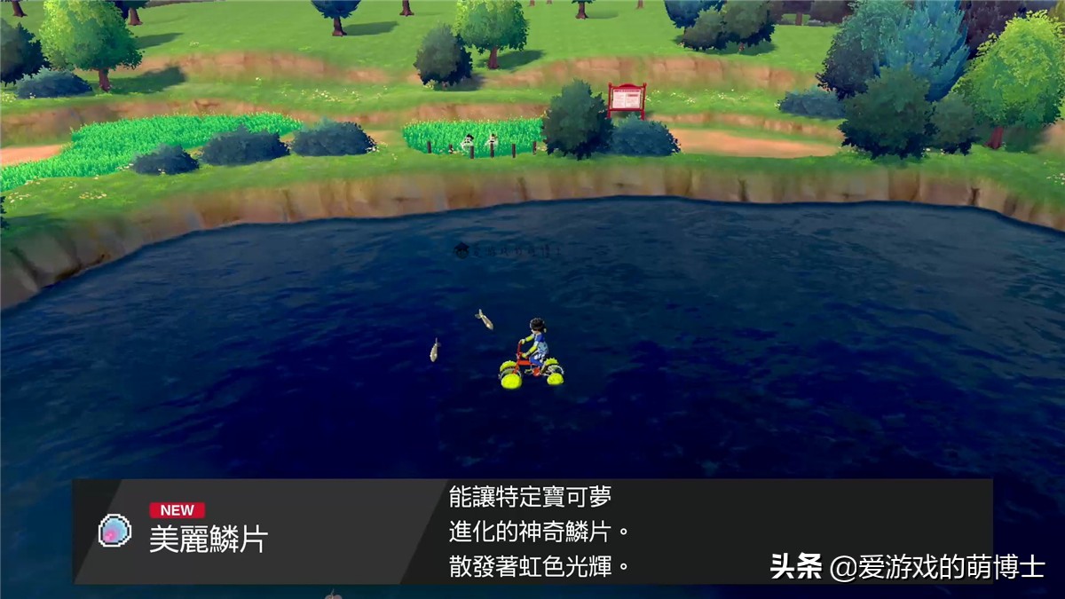 《宝可梦:剑/盾》漂亮的代表,美纳斯的位置以及捕捉攻略