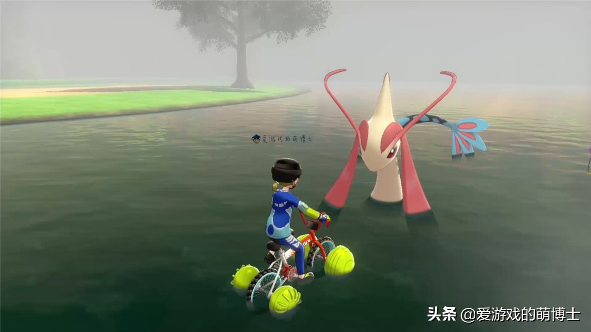 《宝可梦:剑/盾》漂亮的代表,美纳斯的位置以及捕捉攻略