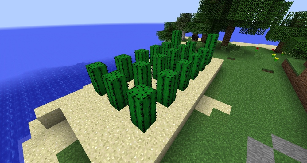 我的世界:如何在Minecraft中种植大仙人掌