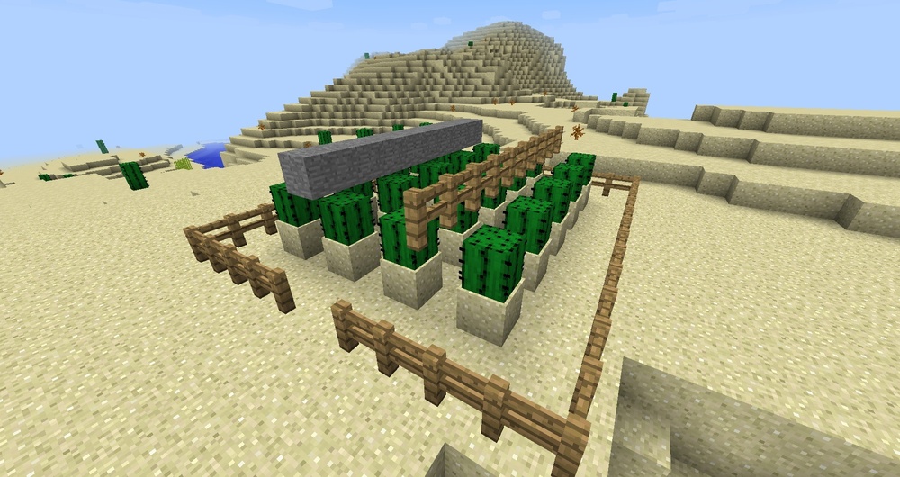 我的世界:如何在Minecraft中种植大仙人掌