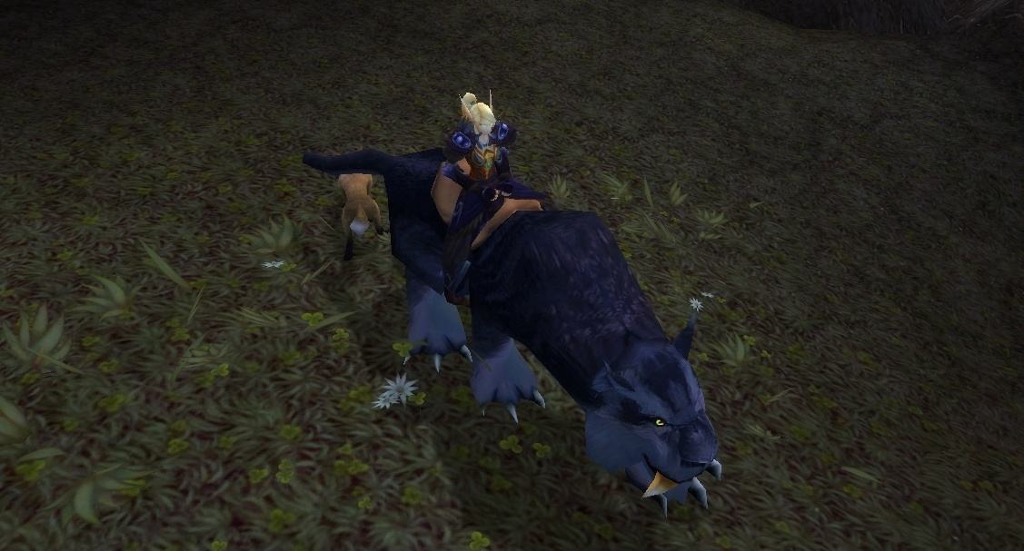 「魔兽世界」截止目前版本,副本掉落坐骑一览