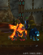 魔兽猎人稀有拉风宝宝排