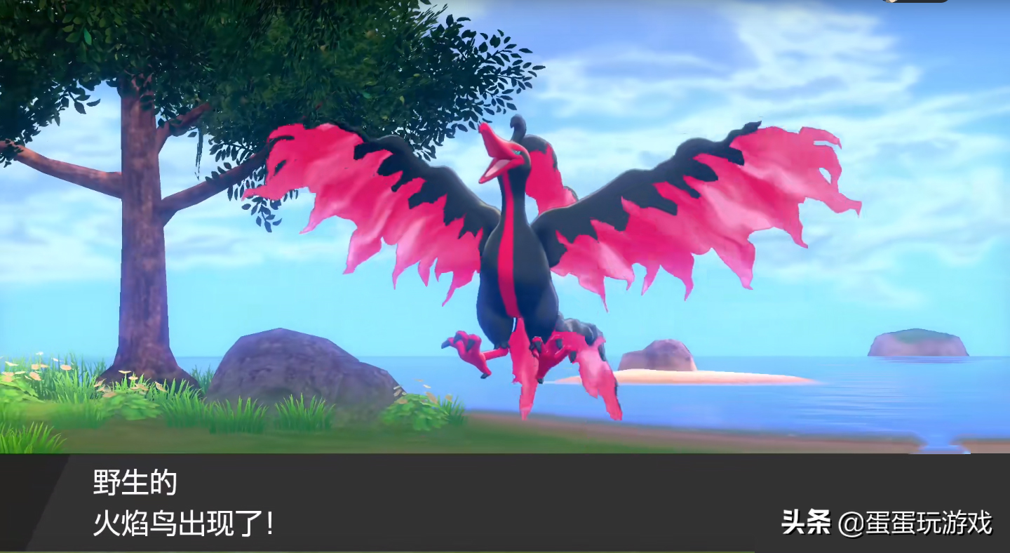 口袋妖怪:伽勒尔火焰鸟如何成为最热门宝可梦,看完你就知道了