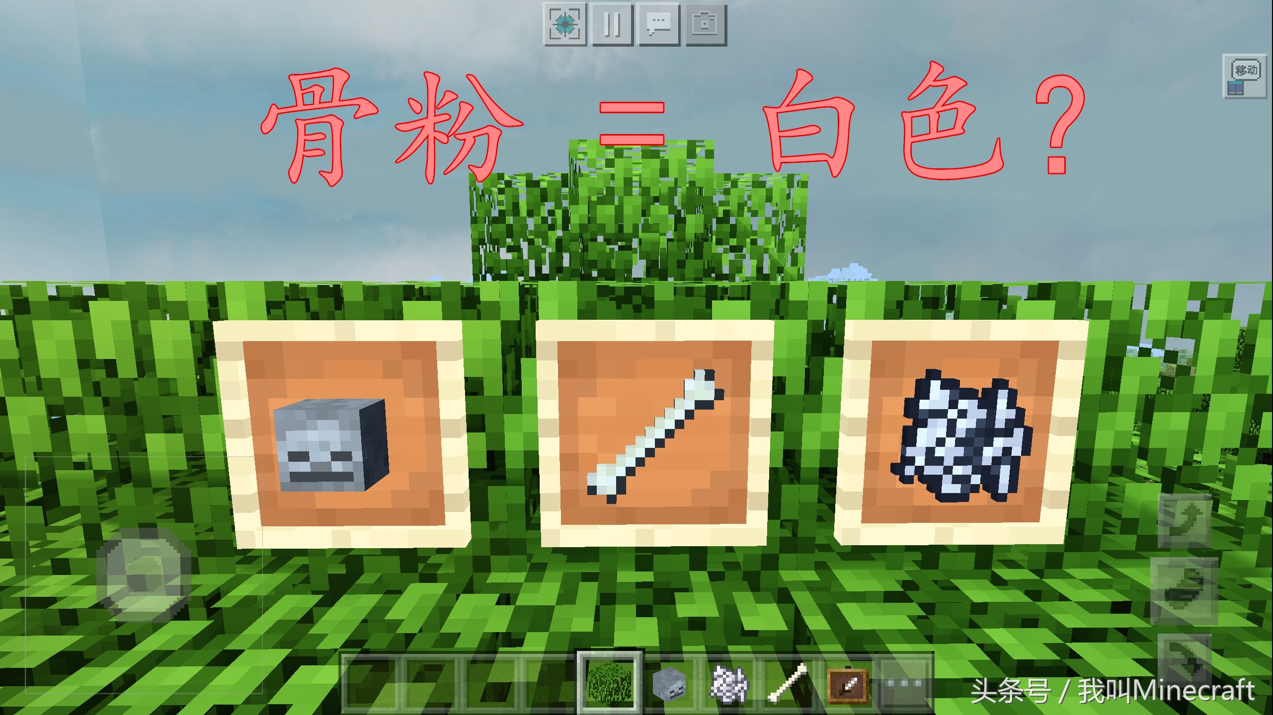 我的世界：16种“染料”冷知识，老玩家表示都看懵了！