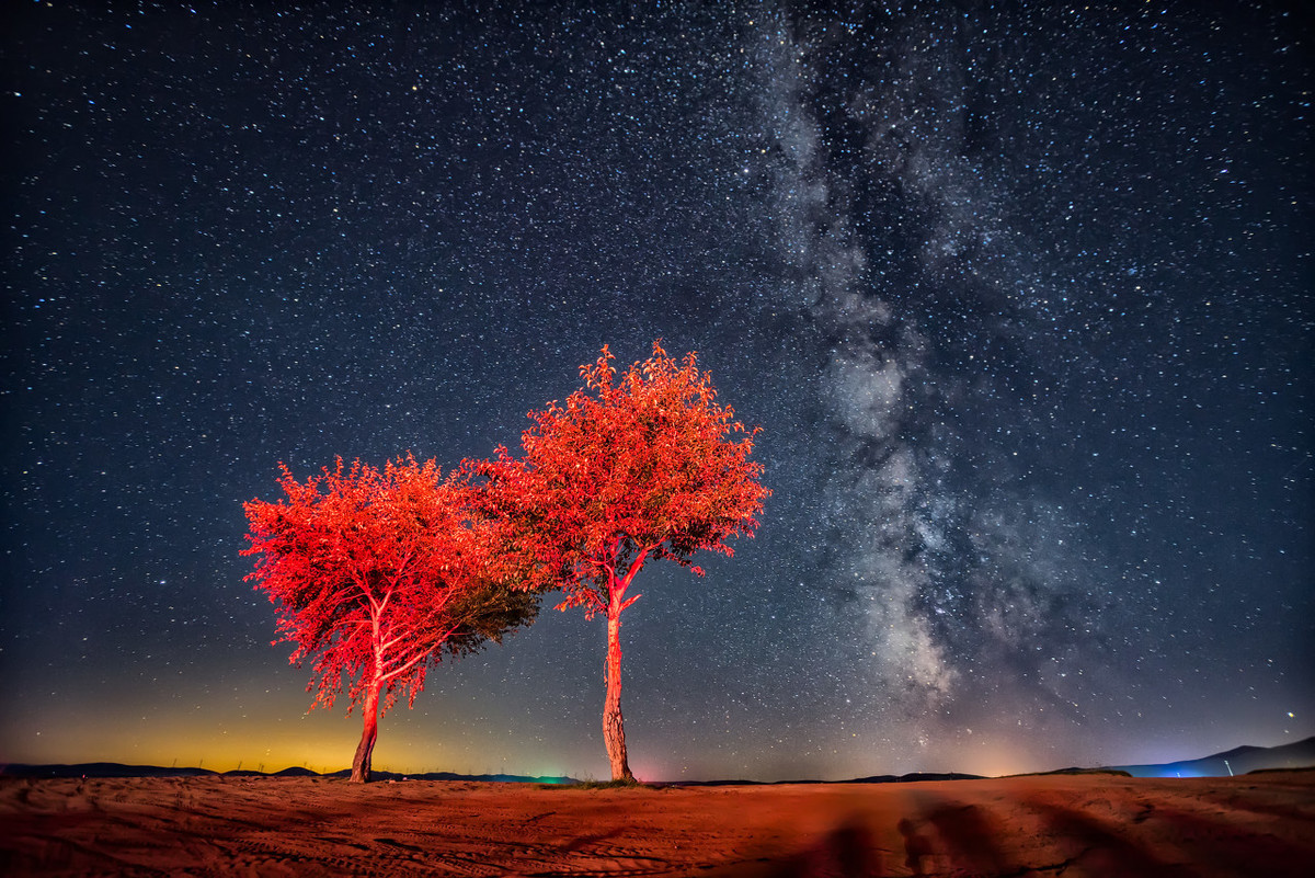 二进制是中国人发明的,还是欧洲人发明的?