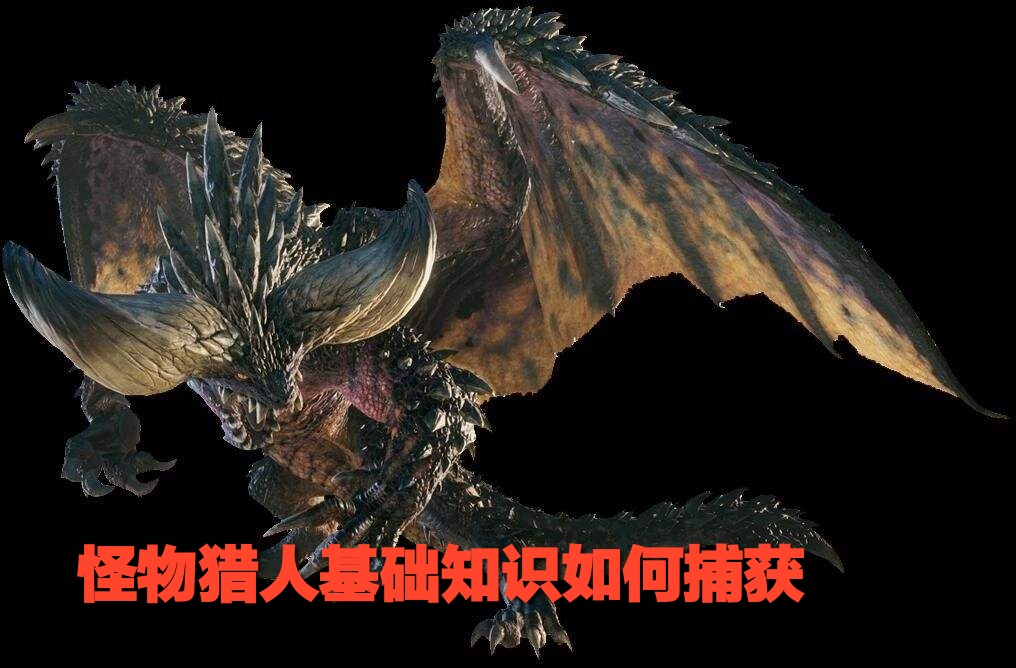 《怪物猎人世界》基础知识如何捕获,详细教程