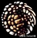 《空洞骑士》最全护符汇总,这些护符你都收集到了吗?