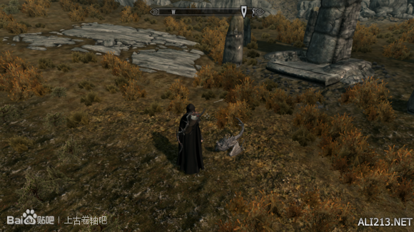 《上古卷轴5:天际》随从奥杜因召唤教程