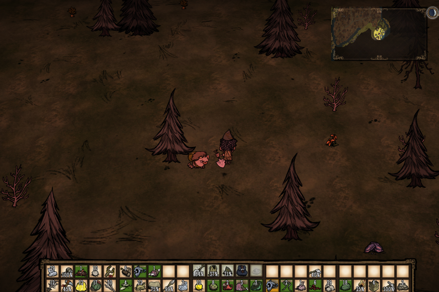 饥荒：各地点造家的缺点和优点，萌新必看，学会快速变大神