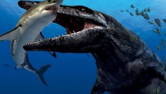 方舟手游沧龙有什么用（沧龙属性详解） 