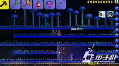 泰拉瑞亚蘑菇孢子怎么采