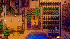 星谷露物语攻略下载（解