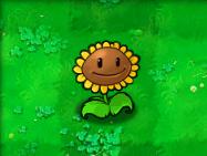 植物大战僵尸1原版经典版，最原始版本