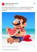 阳光马里奥图文攻略（游