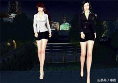 猎影之狼暗夜下载（暗夜