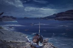 怪物猎人世界白金鱼怎么