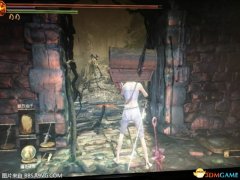 黑魂3狼血剑草去哪里刷