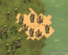 饥荒海难渡渡鸟怎么养殖