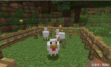 《我的世界》:熟练掌握这些技巧,让你成为世界级养鸡高手!