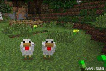 《我的世界》:熟练掌握这些技巧,让你成为世界级养鸡高手!