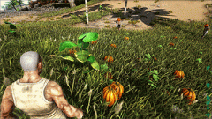 方舟生存进化手游修改器