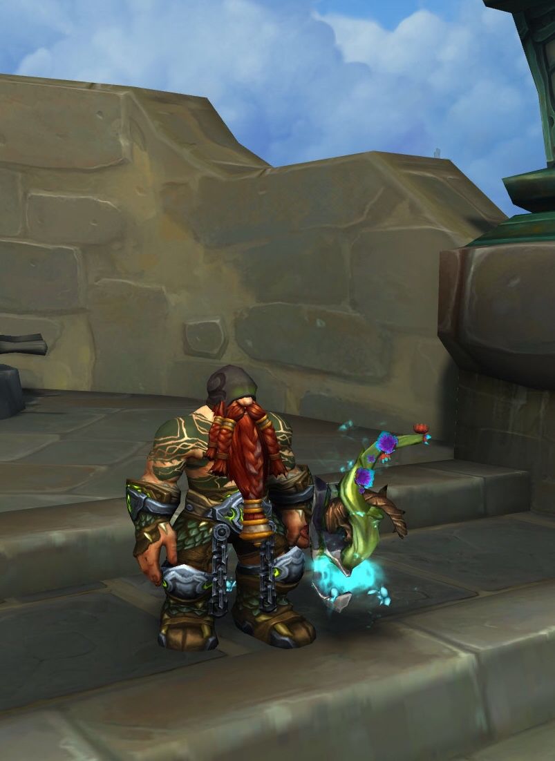 锁甲幻化:玩家精心搭配 猎人职业三系专精特色幻化