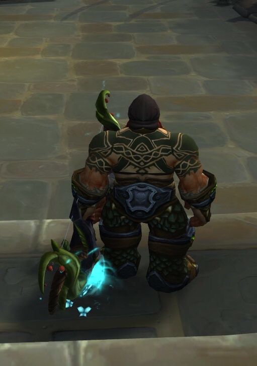 锁甲幻化:玩家精心搭配 猎人职业三系专精特色幻化