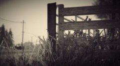 侠盗猎车手5存档位置（