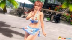 死或生5最后一战下载（