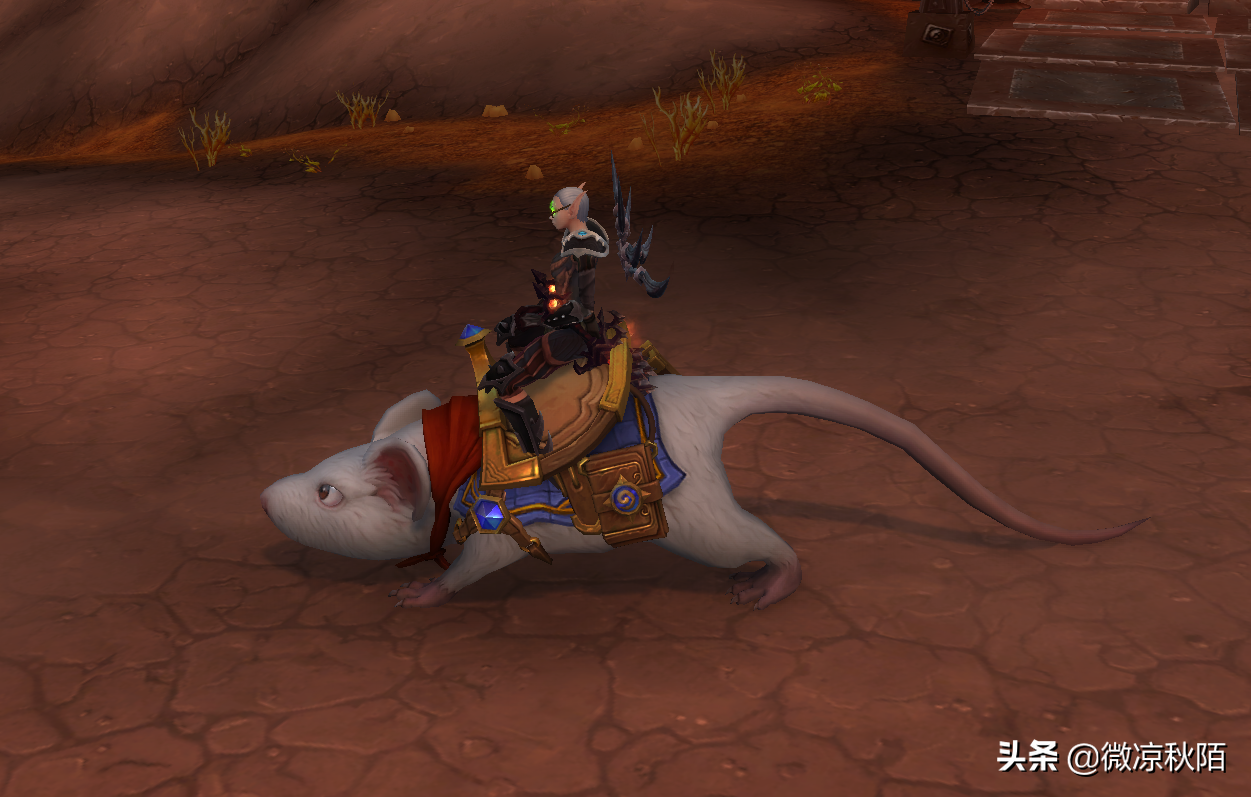 魔兽世界：“萨齐”坐骑解锁攻略，10分钟可以拿到新的老鼠坐骑