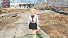 辐射4捏脸数据怎么导入