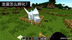 我的世界末影龙蛋孵化要