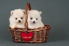 我的世界电脑指令大全（