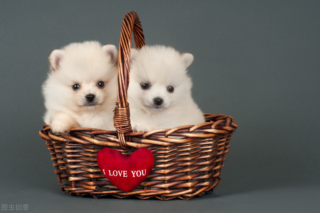 我的世界常用指令