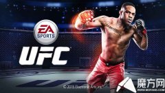 终极格斗3下载完整版（终极格斗冠军赛游戏） 