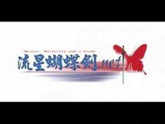 流星蝴蝶剑907补丁（流星