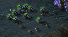 星际争霸虫群之心战役顺弱选择（虫群之心全成就攻略） 