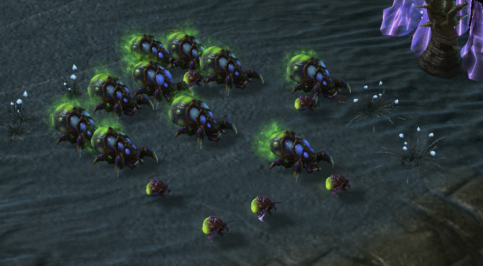 星际争霸：虫群之心战役最实用的变异有哪些？分裂毒爆最好用！