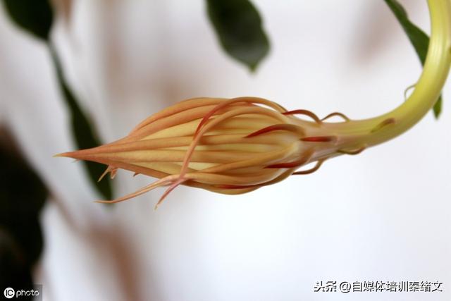 自媒体公司都是怎么赚钱的？难不难？为什么很多人就是学不会？