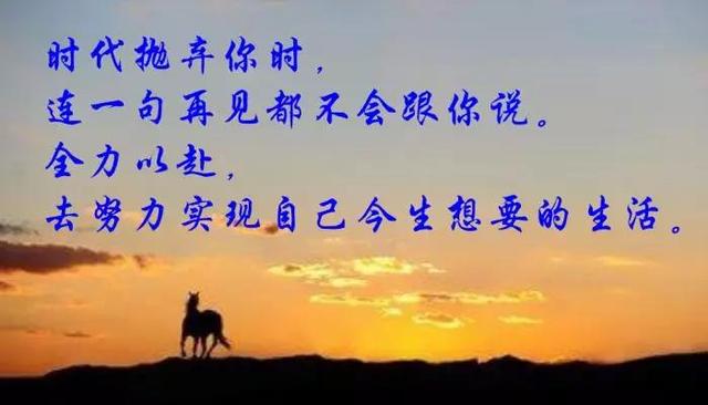 龙城老板会：一本正经胡说八道：如何关注700公众号？