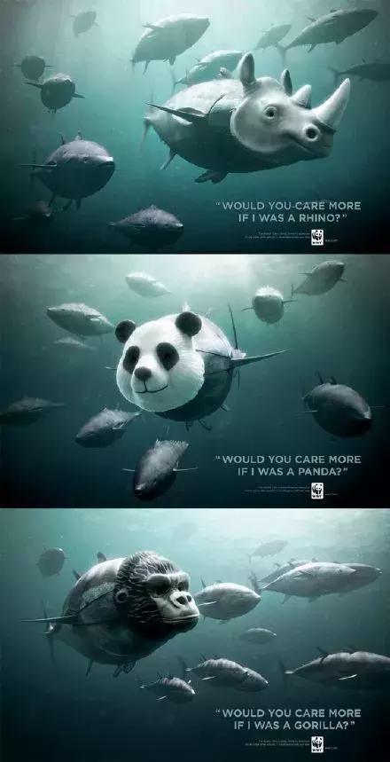 这38张海报真是太酷了！太有创意吧