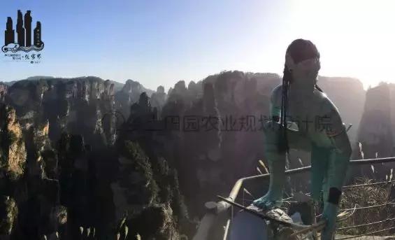 旅游景区需顺应趋势，开展正确的网络营销