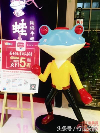 2018年安徽省银行卡产业联合营销活动惠启全城