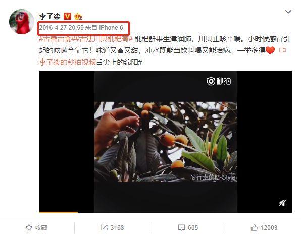 “李子柒”背后到底有没有团队？告诉你真相又何妨？