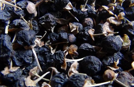 在天津，什么样的人最适合创业？